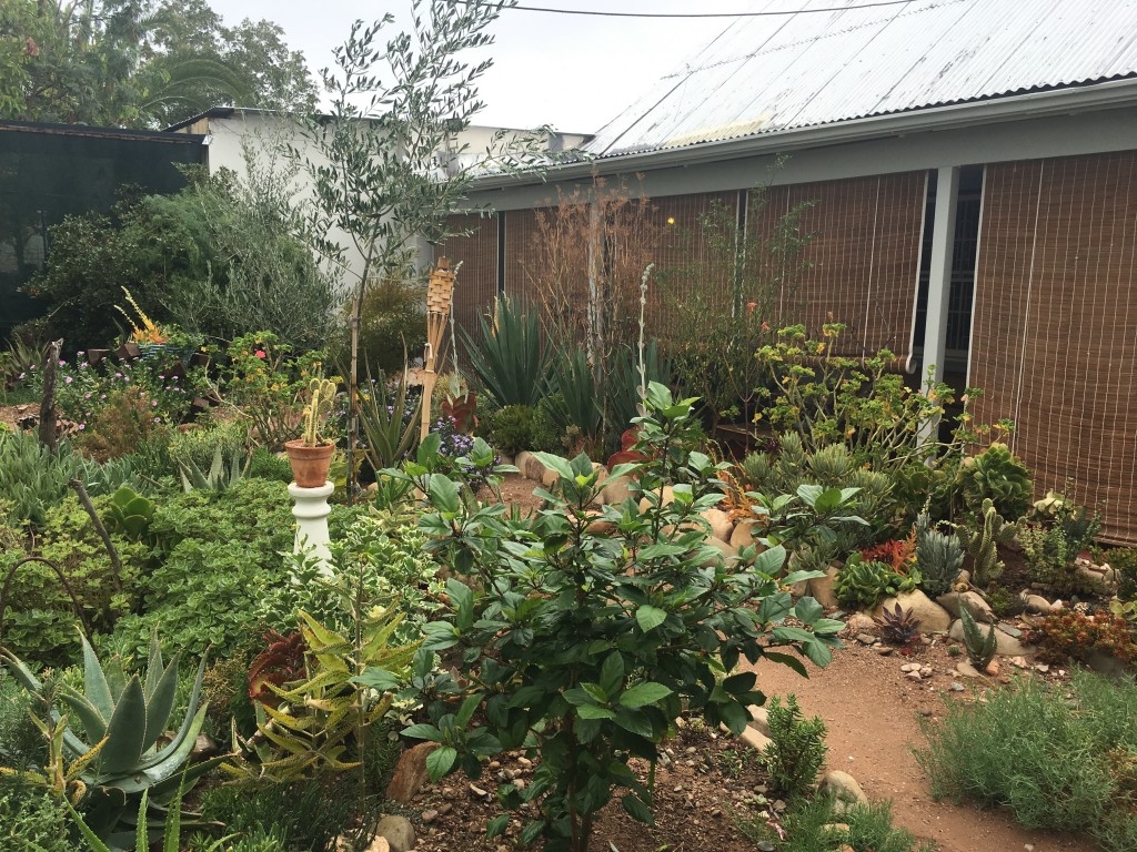 Pieter's garden