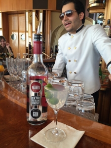 Hilary Clinton MartiniMandate.com