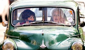 MartiniMandate.com picnic