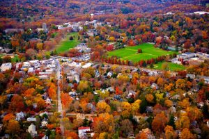 MartiniMandate.com school reunion