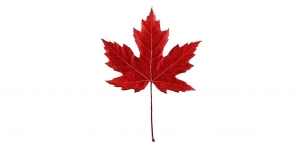 Martinimandate.com canada