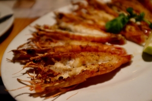 Martinimandate.com shithole