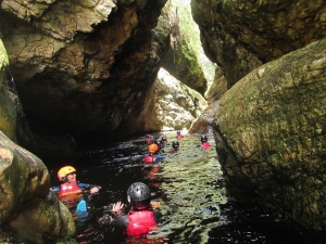 Martinimandate.com africanyon