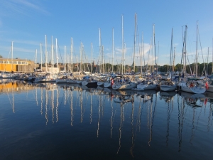 Martinimandate.com aquavit