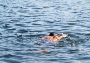 Martinimandate.com aquavit