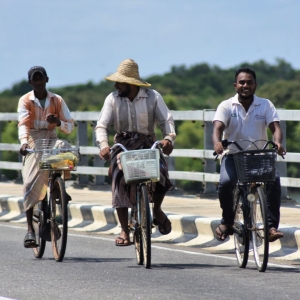 Martinimandate.com around the pearl