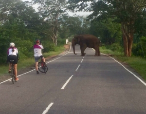 Martinimandate.com around the pearl