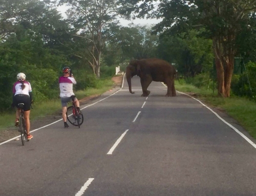 Around the Pearl – cycling a lap of Sri Lanka