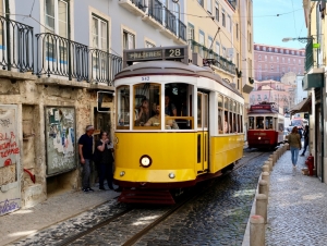 lisbon martinimandate.com