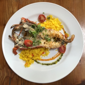 Martinimandate.com cycling