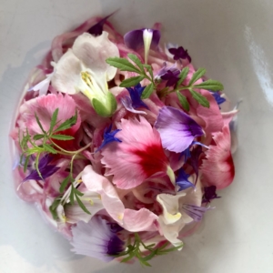 Martinimandate.com chelsea