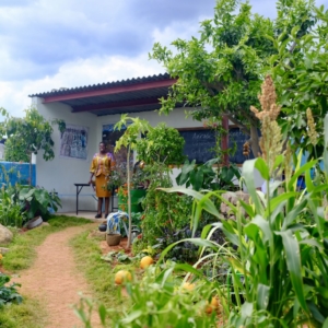 Martinimandate.com chelsea