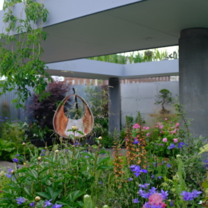 Martinimandate.com chelsea