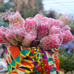 Martinimandate.com chelsea