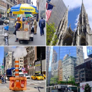 Martinimandate.com new york