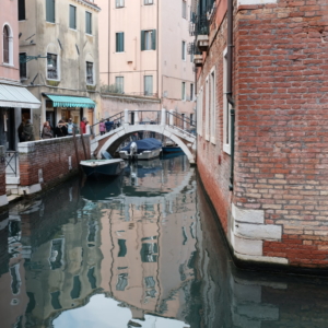 Martinimandate.com venice