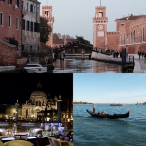 Martinimandate.com venice