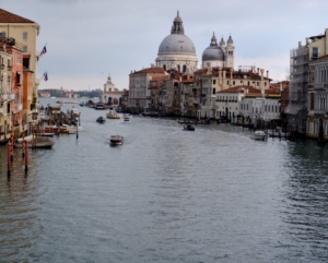 Martinimandate.com venice