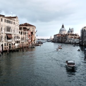 Martinimandate.com venice