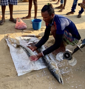 Martinimandate coronavirus