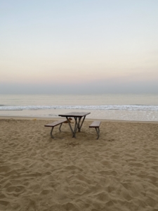 Martinimandate coronavirus