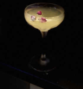 Martinimandate.com lockdown