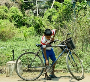 Martinimandate perspective