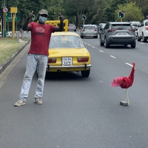 martinimandate.com rooster