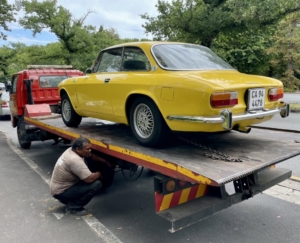 martinimandate.com rooster